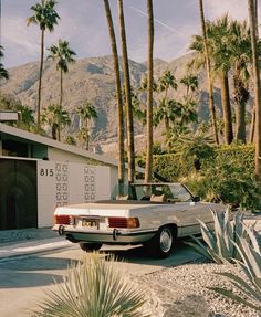 a white car parked in front of a palm tree lined house with mountains in the background