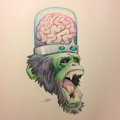 a drawing of a monkey with a hat on its head and brain in the background