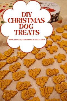 homemade dog treats with the words diy christmas dog treats on top and in the middle