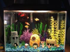 an aquarium filled with lots of different types of plants and fish in it's tank