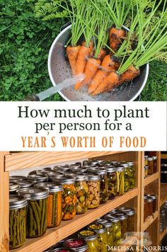 a bunch of carrots and other vegetables in jars on a shelf with the words how much to plant per person for a year's worth of food