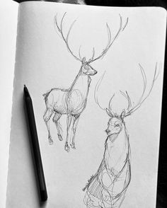 a drawing of two deer standing next to each other on top of a piece of paper