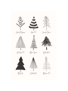 the different types of christmas trees are shown in black and white, including one for each tree