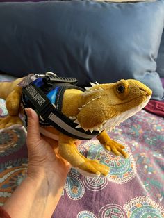 a hand holding a stuffed animal that looks like a lizard wearing a shirt and vest