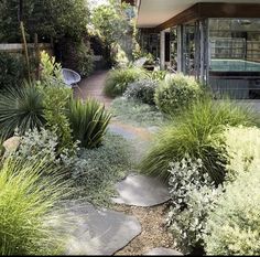 a garden with lots of green plants next to a house