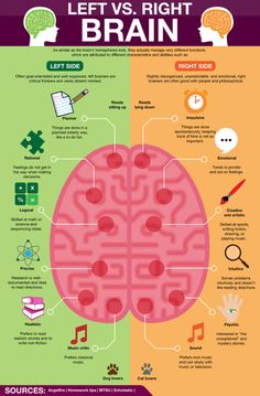 the left and right brain are shown in this diagram, which shows what they look like