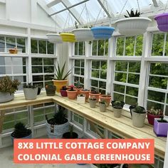 Little Cottage Company Colonial Gable Greenhouse Cottage Colonial, She Shed Greenhouse, Greenhouse Shed Combo, Porch Greenhouse, Greenhouse Kits For Sale, Cottage Garden Sheds, Shed With Porch, Shed Cabin, Outdoor Greenhouse