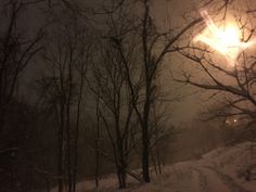 a street light in the middle of a snowy night with trees and snow covered ground