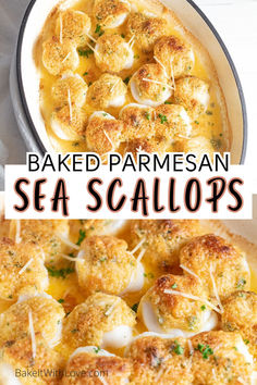 Baked Scallops Crab And Scallop Recipes, Seafood Meal Prep For The Week, Seven Fishes Christmas Eve Appetizers, Easy Fine Dining Recipes, Scallop Appetizer Recipes, Seafood Thanksgiving Dinner Ideas, Scallops Appetizer, Best Scallop Recipe, Shrimp And Scallop Recipes