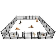 several dogs are in an enclosed area