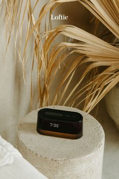 an alarm clock sitting on top of a cement block next to a plant and vase