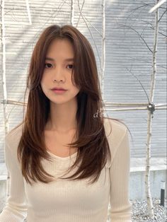 Layered Hair Korean Long, Framed Haircut Medium, Asian Face Framing Layers, Long Framed Face Haircut, Korean Straight Haircut, Asian Long Layers, Asian Haircut Long Layers Straight Hair, Long Face Framing Layers Straight, Korean Long Haircut