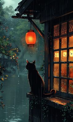 a cat is sitting on a window sill looking out at the rain and lanterns