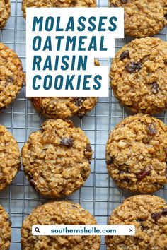 The Best Molasses Oatmeal Raisin Cookies Ever! 🍪  #molassesoatmealcookies #softandchewy  #recipewithmolasses Oatmeal Cookies With Molasses Recipe, Oatmeal Cookies With Molasses, Cookies With Raisins Recipes, Molasses Oatmeal Raisin Cookies, Oatmeal Raisin Cookies With Molasses, Malassis Cookies Recipes, Molasses Oatmeal Cookies, Oatmeal Molasses Cookies