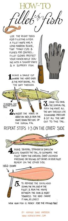 an illustrated guide to the different types of fishing gear and how they are used for them