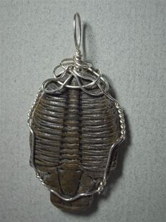 Trilobite Fossil Pendant Wire Wrapped in .925 Sterling Silver Round Wire This fossilized Trilobite, a shallow sea water creature, lived in the geologic Cambrian period (over 500 million years ago). Worn mostly for educational or scientific interest, and as a conversation piece, color combination suggestion is not so relevant for this stone. Nevertheless, medium, dark, or earth tone colors are probably best, while bright and light colors, with the exceptions of white, beige, light browns and gray Light Browns, Trilobite Fossil, Earth Tone Colors, Buy Necklace, Bracelet Online, Handmade Wire, Buying Jewelry, Silver Wire, Wire Wrapped