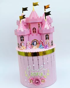 there is a pink castle with princesses on it