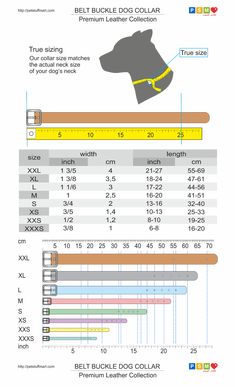 an info sheet showing the different types of dogs and their collars, with text below