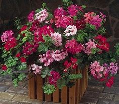 a bunch of flowers that are in a wooden box on the ground by some bricks