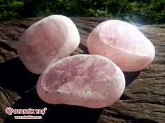 Pembe Kuvars kuvveti yüzyıllardır aşk törenlerinde ve törenlerde kullanılmış ve umutsuz romantikliğin taşı olarak kalmıştır. Seer Stone, Crystals Minerals, Healing Crystals, Healing Crystal, Crystal Healing, Herbs, Healing