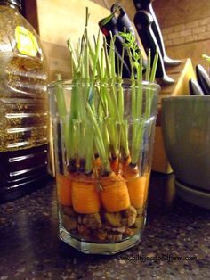 carrots and other vegetables are in a glass vase