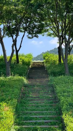 a set of stairs leading up to the top of a grassy hill surrounded by trees