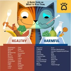 a poster showing the health benefits of cats