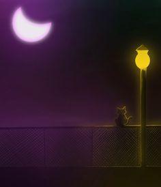 a cat is sitting on a fence at night with the moon in the sky behind it