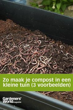 Een wormenbak Compost Container, Worm Composting, Nature Friendly, How To Dry Basil, To Grow, Herbs, Plants