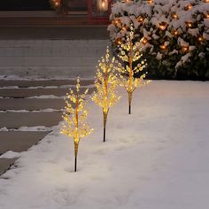 three lighted trees in the snow with lights on them