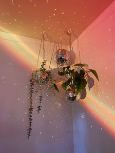 a potted plant hanging from the ceiling in front of a rainbow colored wallpaper