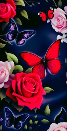 red roses and butterflies on a black background