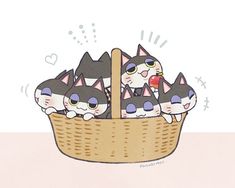 a group of cats sitting in a basket