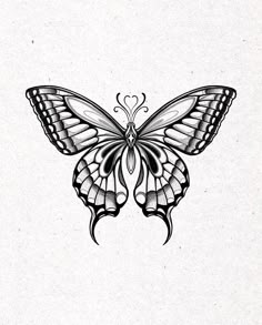 a black and white drawing of a butterfly