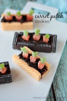 small desserts are arranged on a white plate