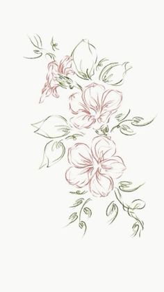 a drawing of flowers on a white background