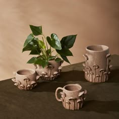 three ceramic cups and a potted plant on a table