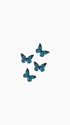 four blue butterflies flying in the sky