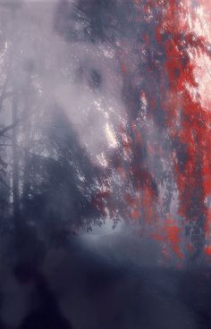 an image of trees in the fog with red leaves on them and white clouds above