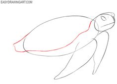 how to draw a turtle with easy steps