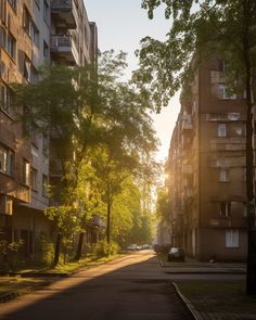 the sun is shining down on an empty street with tall buildings in the background and trees lining both sides