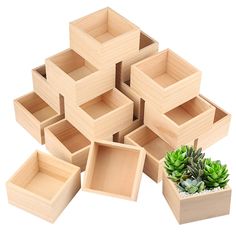 several wooden boxes with plants in them on a white surface, one is empty and the other has succulents