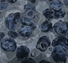 some blueberries are floating in water with bubbles