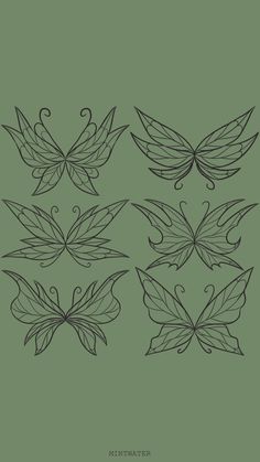 four different types of butterfly wings on a green background with the words, butterflies are drawn in