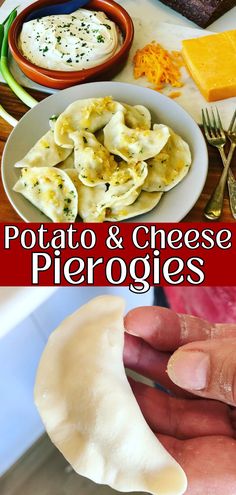 Pierogies with Cheese and Potato - Peter's Food Adventures Perogies Instant Pot, Sweet Cheese Perogies Recipe, How To Cook Pierogies, Best Pierogi Dough Recipe, How To Make Pierogies, Cheese Perogies, Pierogies Homemade, Pierogi Recipes, Homemade Perogies