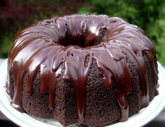 a bundt cake with chocolate icing on a plate