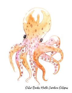 an octopus is painted in watercolor and ink