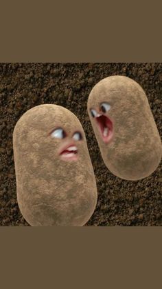 an animated image of two rocks with mouths open and eyes wide open on the ground