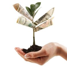 a person's hand holding a plant with money growing out of it