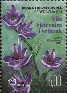 a stamp with purple flowers on the front and green back, which is printed in spanish